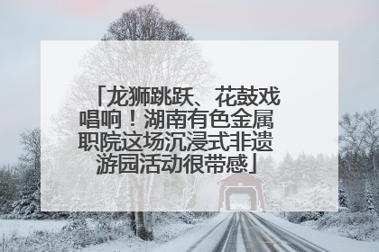 龙狮跳跃、花鼓戏唱响！湖南有色金属职院这场沉浸式非遗游园活动很带感