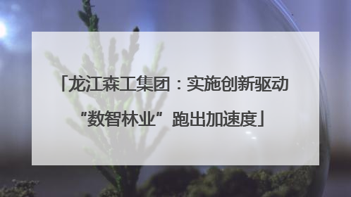 龙江森工集团：实施创新驱动 “数智林业”跑出加速度