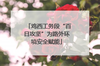 鸡西工务段“百日攻坚”为路外环境安全赋能