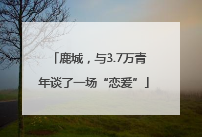 鹿城，与3.7万青年谈了一场“恋爱”