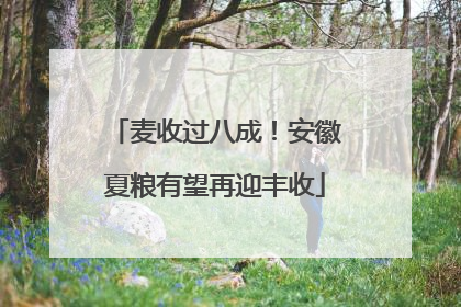 麦收过八成！安徽夏粮有望再迎丰收