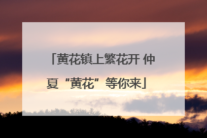 黄花镇上繁花开 仲夏“黄花”等你来