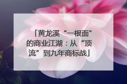 黄龙溪“一根面”的商业江湖：从“顶流”到九年商标战
