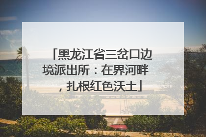 黑龙江省三岔口边境派出所：在界河畔，扎根红色沃土