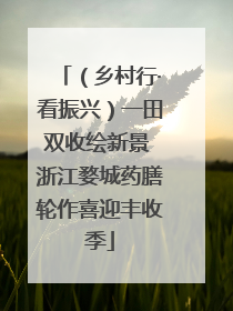 （乡村行·看振兴）一田双收绘新景 浙江婺城药膳轮作喜迎丰收季