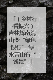 （乡村行·看振兴）吉林辉南荒山变“绿色银行” 绿水青山有“钱景”