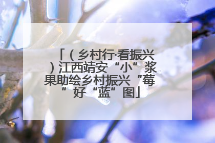 （乡村行·看振兴）江西靖安“小”浆果助绘乡村振兴“莓”好“蓝”图