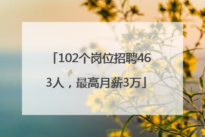 102个岗位招聘463人，最高月薪3万