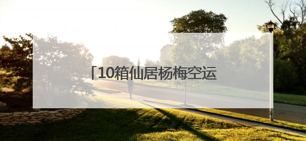 10箱仙居杨梅空运新加坡！今年首批“仙梅”抢“鲜”出国