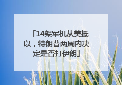 14架军机从美抵以，特朗普两周内决定是否打伊朗