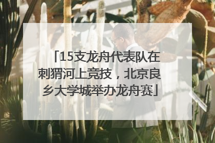 15支龙舟代表队在刺猬河上竞技，北京良乡大学城举办龙舟赛