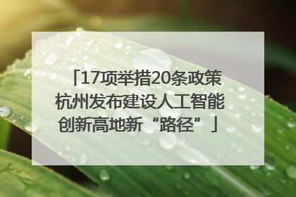 17项举措20条政策 杭州发布建设人工智能创新高地新“路径”