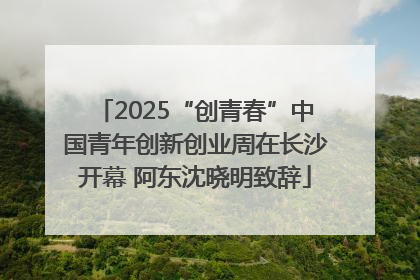 2025“创青春”中国青年创新创业周在长沙开幕 阿东沈晓明致辞