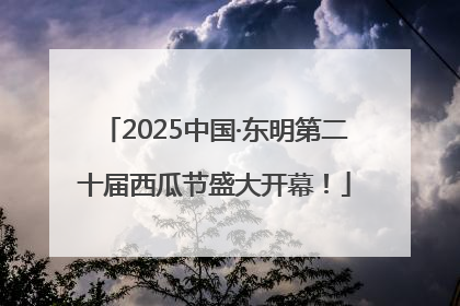 2025中国·东明第二十届西瓜节盛大开幕！