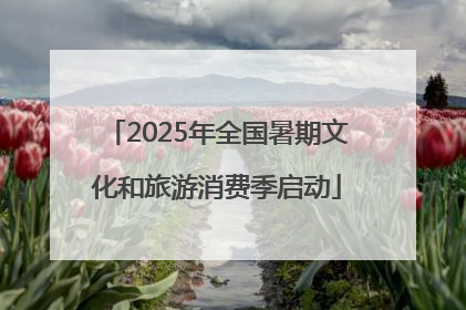 2025年全国暑期文化和旅游消费季启动