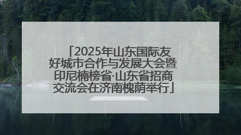 2025年山东国际友好城市合作与发展大会暨印尼楠榜省·山东省招商交流会在济南槐荫举行