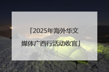 2025年海外华文媒体广西行活动收官