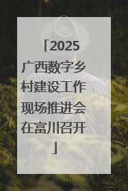 2025广西数字乡村建设工作现场推进会在富川召开