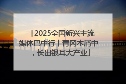 2025全国新兴主流媒体巴中行丨青冈木屑中，长出银耳大产业