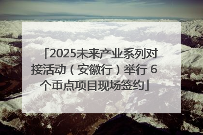 2025未来产业系列对接活动（安徽行）举行 6个重点项目现场签约