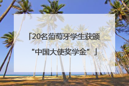 20名葡萄牙学生获颁“中国大使奖学金”