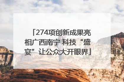 274项创新成果亮相广西南宁 科技“盛宴”让公众大开眼界