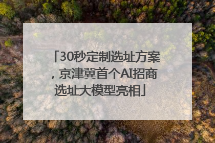30秒定制选址方案，京津冀首个AI招商选址大模型亮相