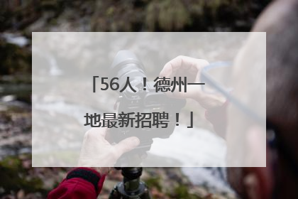 56人！德州一地最新招聘！