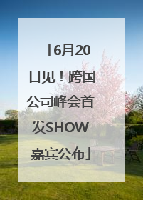 6月20日见！跨国公司峰会首发SHOW嘉宾公布