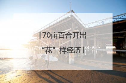 70亩百合开出“花”样经济