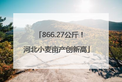 866.27公斤！河北小麦亩产创新高
