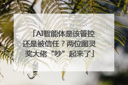 AI智能体是该管控还是被信任？两位图灵奖大佬“吵”起来了