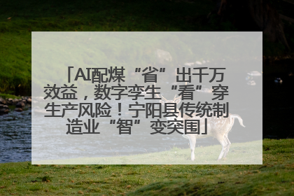 AI配煤“省”出千万效益，数字孪生“看”穿生产风险！宁阳县传统制造业“智”变突围