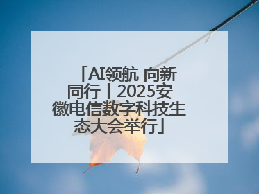 AI领航 向新同行丨2025安徽电信数字科技生态大会举行