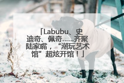Labubu、史迪奇、佩奇……齐聚陆家嘴，“潮玩艺术馆”超炫开馆！