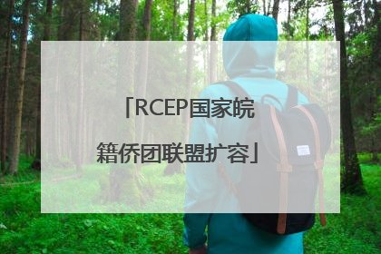 RCEP国家皖籍侨团联盟扩容